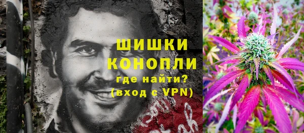 бошки Алексин