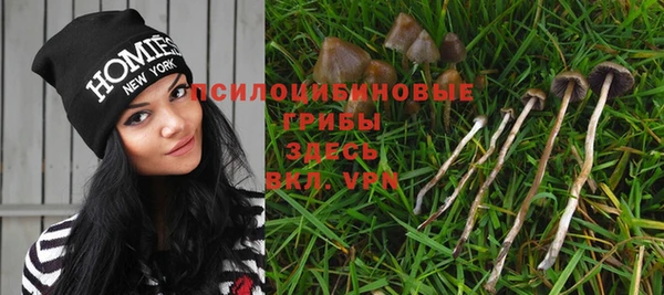 бошки Алексин