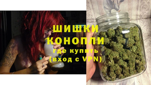 бошки Алексин