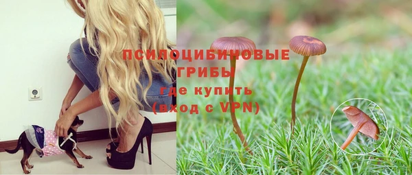 спайс Алзамай