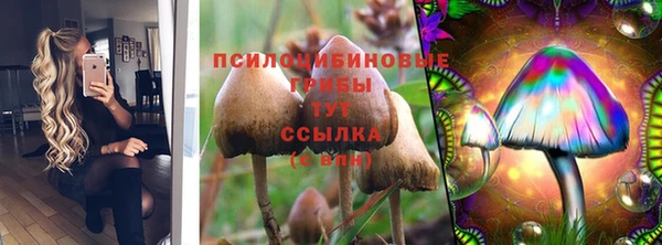 бошки Алексин