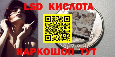 ешки Новодвинск