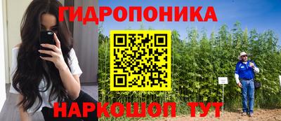 ешки Новодвинск