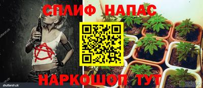 ешки Новодвинск