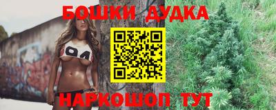 дмт Новокубанск