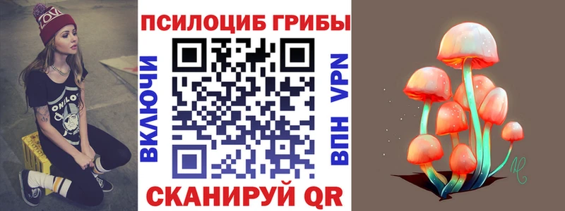 Псилоцибиновые грибы мицелий  цена наркотик  Сургут 