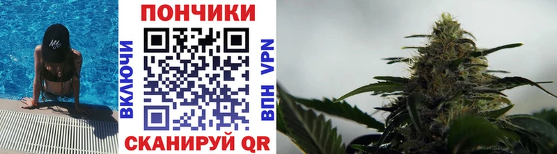Бошки Шишки SATIVA & INDICA blacksprut рабочий сайт Сургут